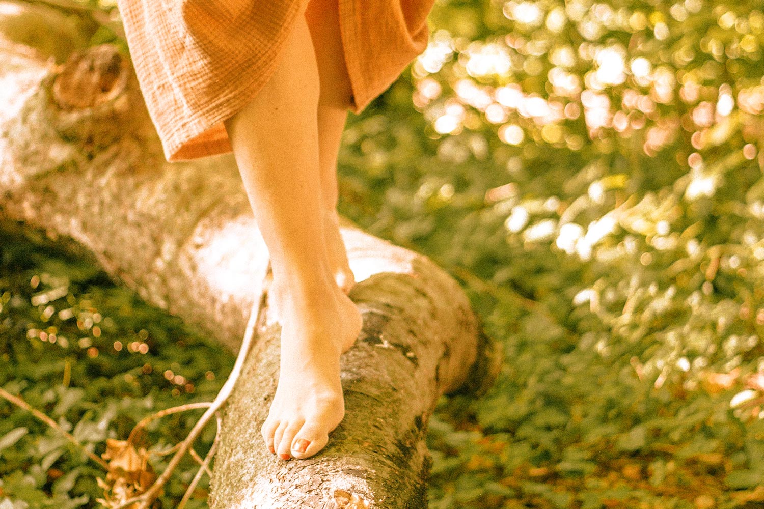 Autorin Karin Lühr Bad Harzburg Harz - Newsletter