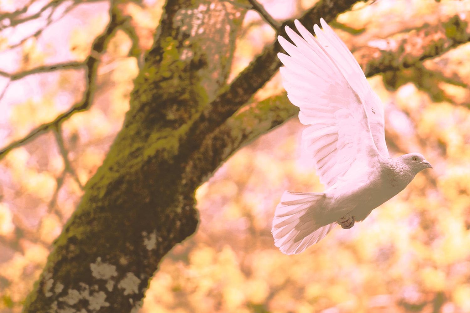 Autorin Karin Lühr Bad Harzburg Harz - Newsletter