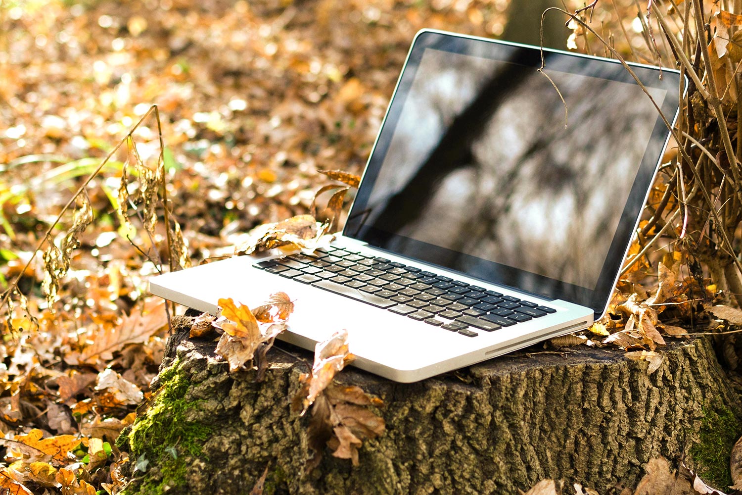 Autorin Karin Lühr Bad Harzburg Harz - Newsletter